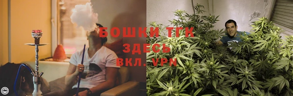 дурь Козельск
