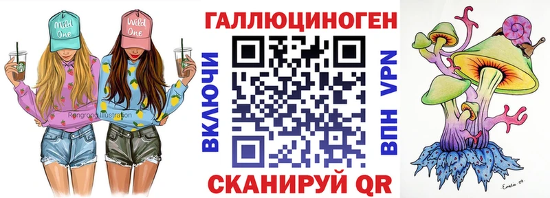 дарк нет телеграм  Козловка  Псилоцибиновые грибы Psilocybe 
